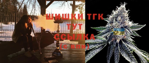 гидра Алексеевка