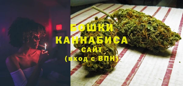 сатива Алзамай