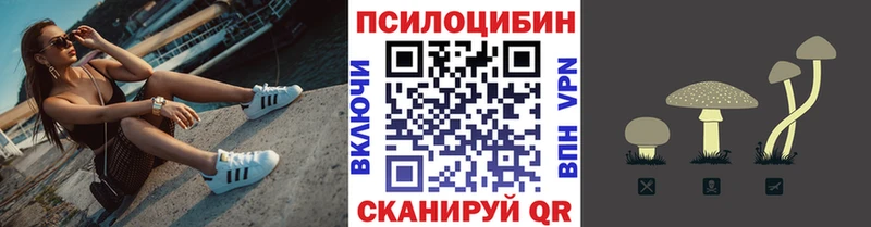 цены   Уварово  Псилоцибиновые грибы мицелий 